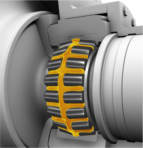 Shell Gadus Shell Gadus